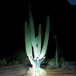 Profile Picture of Derek Nye (@dereknye) on Instagram