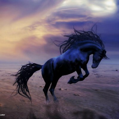 Profile Picture of Stephanie Hendricks (@@Stephanie_pand) on Twitter