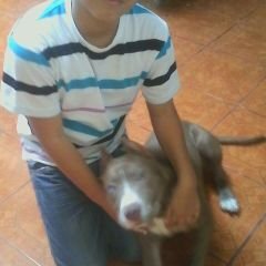 Profile Picture of Derek Torres (@derektorres1234) on Twitter