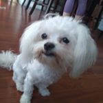 Profile Picture of Bryan cortez (@bryancortez55) on Instagram