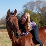 Profile Photo of Elaine LaRoche (@artsy_horse_girl) on Instagram