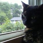 Profile Picture of cherylnestor (@cherylnestor74) on Instagram