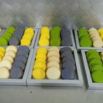 Profile Picture of Marian Malochet (@Marian-Malochet) on Facebook