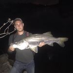 Profile Picture of Kyle Grisham (@grisham_kyle) on Instagram