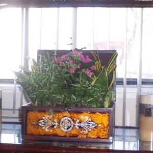 Profile Picture of Robin Willoughby (@406684220) on Myspace