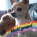 Profile Picture of Robert Ströbel (@robert.strobel.399) on Facebook