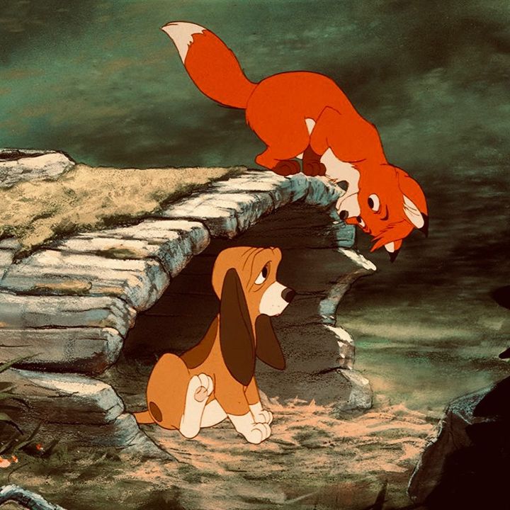 Profile Picture of Tod & Copper (@tod.copper) on Tiktok