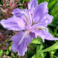 Profile Picture of Xue Leng (@xue-leng-1) on Quora