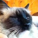 Profile Picture of David Bertles (@ddbertles) on Instagram