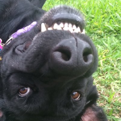 Profile Picture of JT Brennan (@TravisFalco) on Twitter