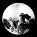 Profile Picture of Iris Von Taffelsson (@trickeytri) on Pinterest