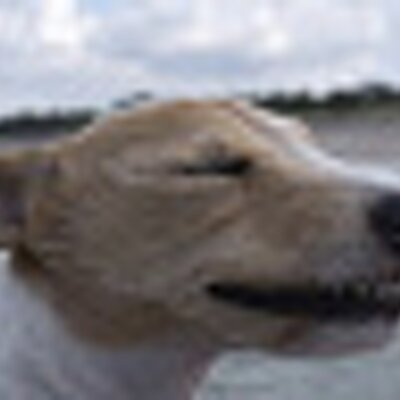 Profile Picture of Temple Thomas (@TempleThomas) on Twitter