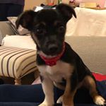 Profile Picture of Paula Hillman (@paula.hillman.1) on Instagram