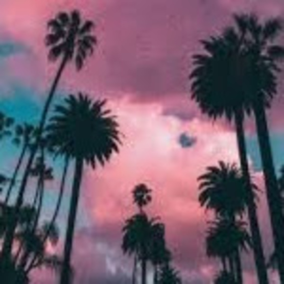 Profile Picture of Lexi Blasy (@lexiblasy) on Poshmark