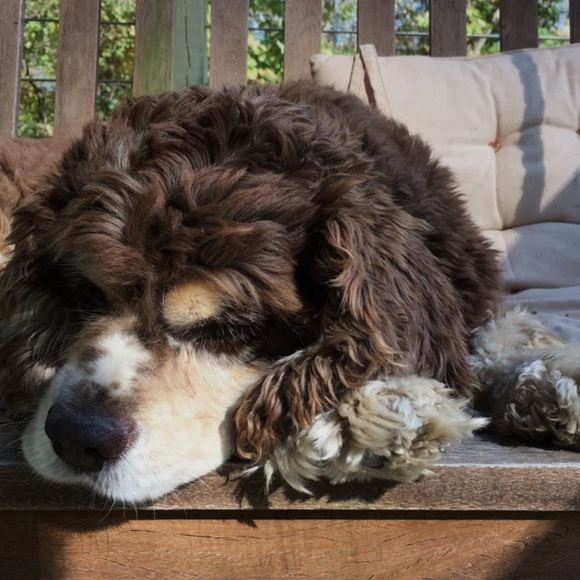 Profile Picture of Sarah Henmueller (@sarahh4510) on Poshmark