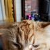 Profile Picture of Deacon Brown (@deacon.brown.3958) on Facebook