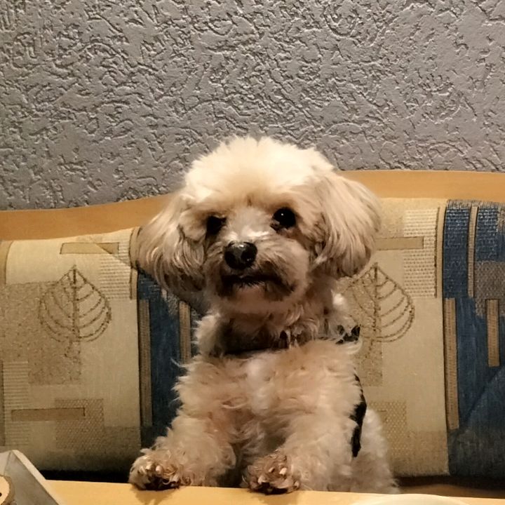 Profile Picture of Manuela Brückner311 (@manuelchen2905) on Tiktok