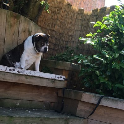 Profile Picture of Sandy May Swift (@sandymay1946) on Twitter