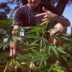 Ale Chaparro - Instagram Profile Picture of Ale Chaparro (@ale.xxapax) on Instagram