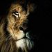 Profile Picture of david plazas (@faktorycar) on Pinterest