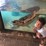 Profile Picture of Lucas Serrano (@lucast.rex) on Instagram