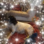 Profile Picture of Kimberley Bramall (@windlekimberley) on Instagram