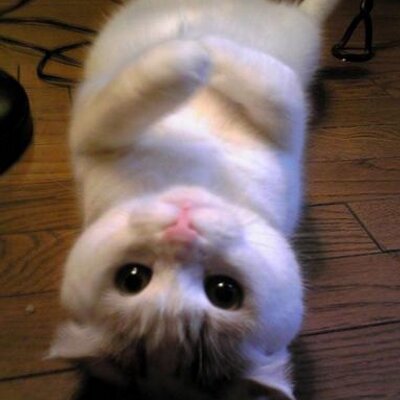 Tom Dearden - Twitter Profile Picture of Tom Dearden (@EthelFT) on Twitter