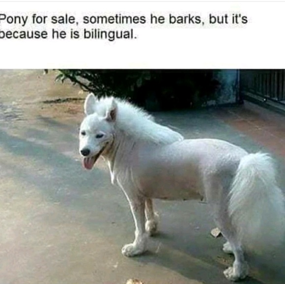 Profile Picture of John Johnson (@johnjohn267) on Poshmark