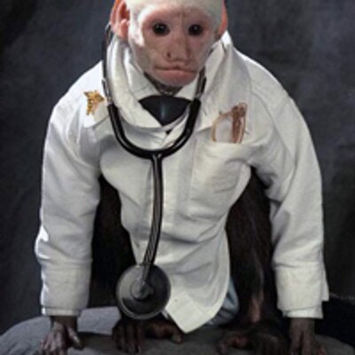 Profile Picture of Andrew Roush (@DrMonkeyhead) on Twitter