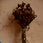 Profile Picture of Mario Montenegro (@sisifomontenegro) on Flickr