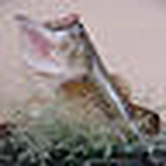 Profile Picture of Mark Brooks (@Mark Brooks) on Flickr