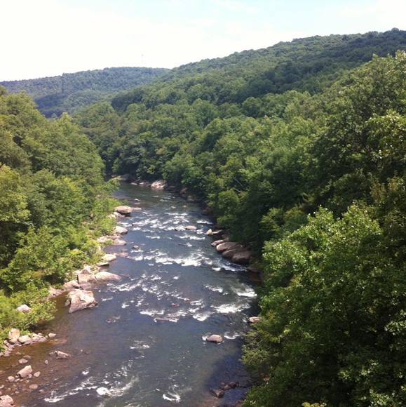 Profile Picture of Donna Hull (@rexdivel) on Poshmark