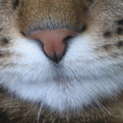 Profile Picture of David Blair (@BlairDavid18) on Twitter