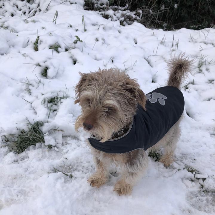 Profile Picture of Addy Power805 (@addypower) on Tiktok