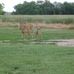 Profile Picture of Delores Branch (@delores.branch.7528) on Facebook