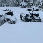 Profile Picture of Lloyd Hansen (@lloyd.hansen.161) on Facebook