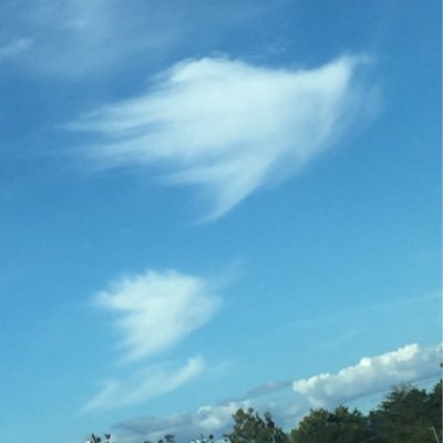 Profile Picture of Gracie Lambe (@jessicaAharmon3) on Twitter