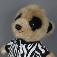 Profile Picture of Derek Purvis (@derek-purvis-3) on Quora