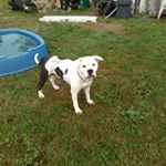 Profile Picture of Robert Connors (@robert.connors.10888) on Instagram