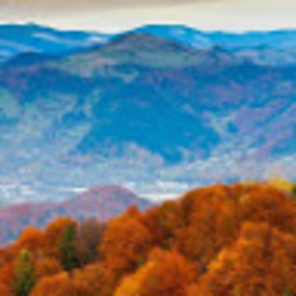 M Kroos - Poshmark Profile Picture of M Kroos (@mkroos) on Poshmark