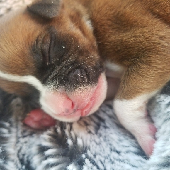 Profile Picture of Trinity Denboer (@trinityvd) on Poshmark