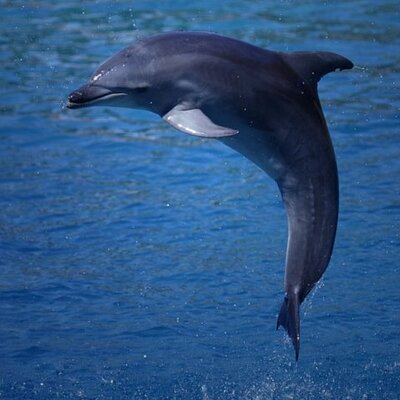 Profile Picture of V & K McFarland (@VickeyAndKelly) on Twitter