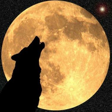 Profile Picture of John Howell (@hwljn22) on Twitter