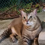 Profile Picture of Pearlin Lee (@Pearlin-Lee) on Facebook