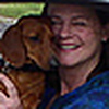 Profile Picture of Robin Mullins (@Robin Mullins) on Flickr