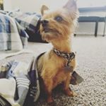 Profile Picture of Jade Mendiola (@mendiolajade) on Instagram