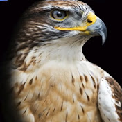 Profile Picture of Saker Community Translations (@SakerCommunityTranslations) on Youtube