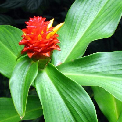 Paula Salisbury - Twitter Profile Picture of Paula Salisbury (@PSalisburyNZ) on Twitter