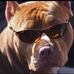 Profile Picture of Tyler Dimmock (@tyler.dimmock.526) on Facebook