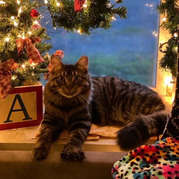 Profile Picture of Leslie Recher connor (@leslie_connor) on Poshmark